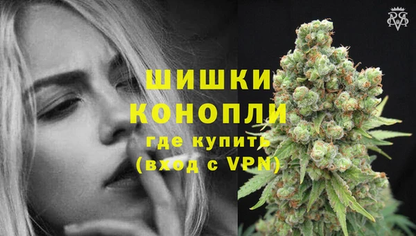 шишки Баксан
