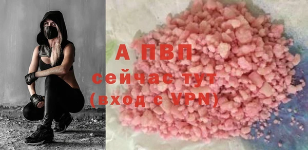 шишки Баксан