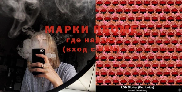 шишки Баксан